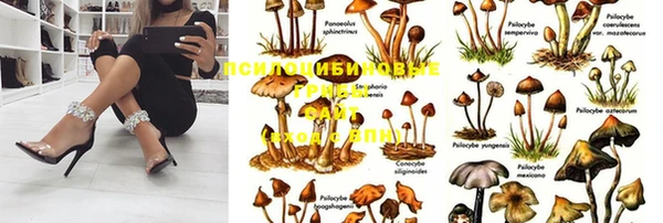 марки nbome Киреевск